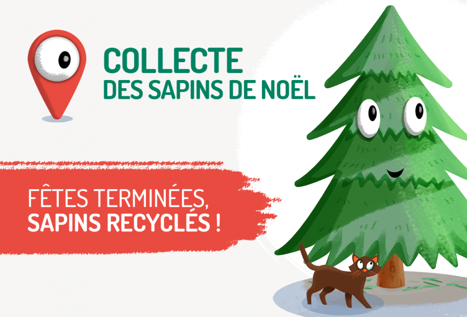 Collecte des sapins 2025