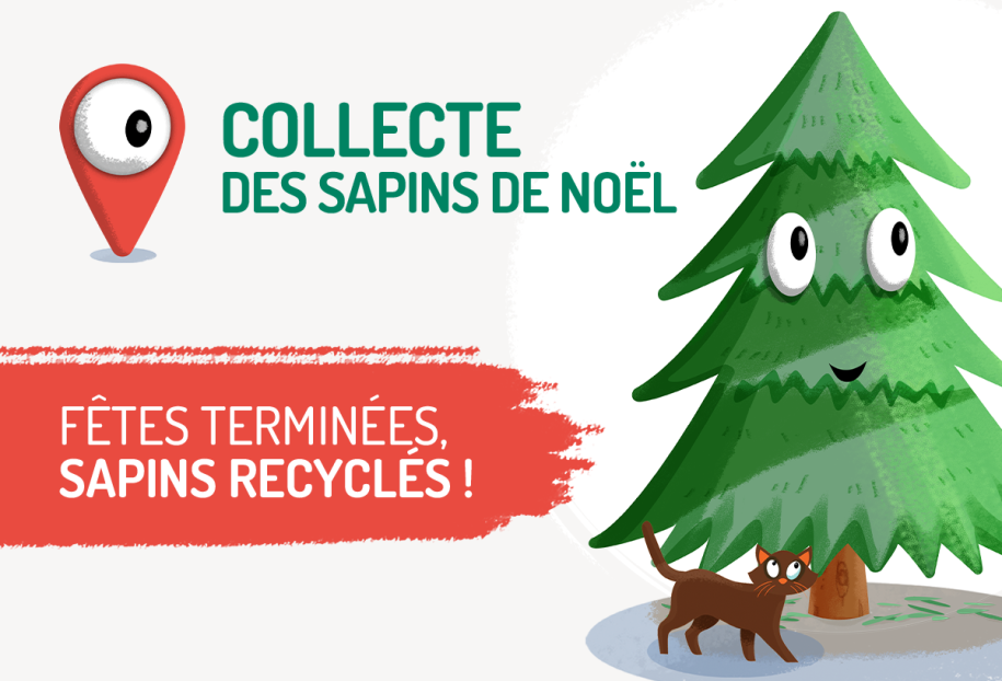 Collecte des sapins