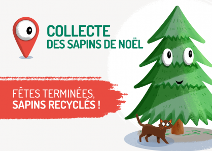 Collecte des sapins 2025