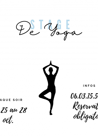 Stage de Yoga par l'Association N'joy dance project 