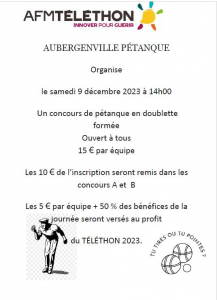 Aubergenville pétanque 