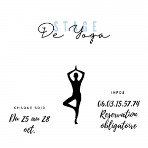 Stage de Yoga par l'Association N'joy dance project 