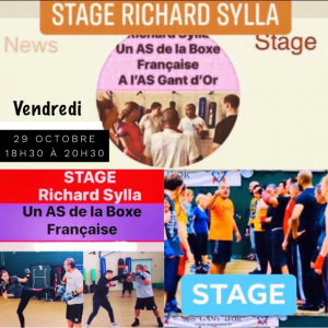 Stage à l'AS GANT D'OR avec Richard SYLLA 