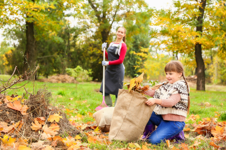 Vos jardins en automne