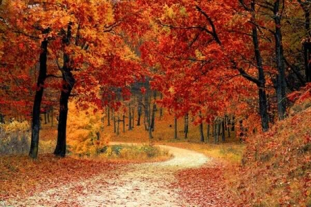 vac automne 2026