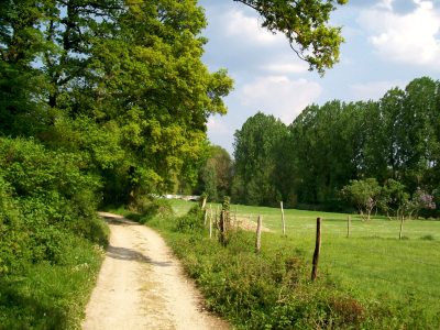 Chemin rural 