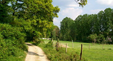 Chemin rural 